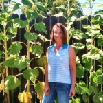 Anne in Sunflowers. Anne in Sunflowers.